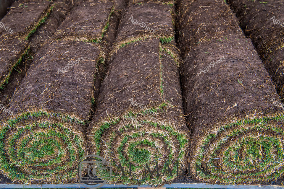 Precision-rolled turf blankets lie stacked in uniform rows, each roll a masterpiece of agricultural craft. Harvested from lush paddocks, these verdant grass mats showcase the rich, dark soil beneath the vibrant green surface, ready for immediate landscaping or sporting field installation. The tightly compressed rolls reveal a cross-section of agricultural expertise - dense earth supporting healthy grass with clean, sharp edges that speak to meticulous cultivation techniques. Hints of moisture glisten along the grass blades, suggesting recent cutting and optimal growing conditions typical of Western Australia's prime turf-growing regions. Each roll represents a perfect marriage of soil management and grass cultivation, demonstrating the state's advanced agricultural capabilities in producing premium landscaping materials. The uniform texture and rich coloration highlight the precision of modern turf farming, where every roll is a carefully engineered product ready to transform urban and rural landscapes.