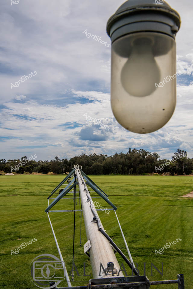 Rolling emerald turf stretches beneath a luminous West Australian sky, bisected by a precisely engineered centre pivot irrigation system. The towering metallic irrigation arm - a marvel of agricultural precision - extends across the verdant field, its galvanized steel frame supporting a suspended irrigation boom topped with a distinctive white sprinkler head. Wispy clouds drift across a soft blue backdrop, creating a serene landscape that speaks to the sophisticated water management techniques of modern Australian agriculture. This meticulously maintained turf farm reveals the intricate dance of technology and nature, where carefully controlled irrigation transforms the landscape into a carpet of vibrant green. The structural lines of the irrigation equipment contrast beautifully with the organic curves of distant tree lines, highlighting the harmonious intersection of human innovation and natural growth. The scene captures the essence of Western Australian agricultural excellence - a testament to the skill and technological sophistication of contemporary farming practices.