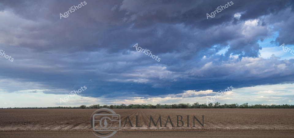Vast Queensland croplands stretch beneath a brooding sky, where deep slate-blue storm clouds collide with patches of silvery light. The recently harvested field lies bare and textured, its rich brown soil marked by precise agricultural furrows, revealing the methodical precision of modern farming practices. A distant treeline creates a subtle horizontal boundary, softening the dramatic cloudscape that dominates the upper two-thirds of the frame. The landscape embodies the raw, elemental nature of Australian agricultural environments - simultaneously vulnerable and resilient, waiting in quiet anticipation of the next planting cycle. Moody atmospheric conditions suggest an impending weather shift, with dynamic cloud formations promising potential rainfall critical to crop regeneration.