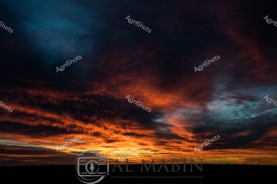Radiant apocalypse of color erupts across the vast Australian horizon, transforming the twilight into a symphonic canvas of molten orange and deep indigo. Thunderous clouds billow and surge, casting dramatic layers of fiery crimson against the encroaching midnight blue, creating an epic atmospheric performance that speaks to the raw, untamed spirit of the outback. The silhouetted landscape below remains steadfast - a dark, horizontal boundary anchoring the celestial drama, representing the resilient Australian landscape that endures beneath such magnificent skies. Every wisp and curl of cloud seems charged with electric potential, suggesting both the fierce beauty and volatile nature of the continent's climate. This is a moment of transcendent transition - where day surrenders to night with unprecedented theatrical grandeur, illuminating the infinite scale and primordial energy of the rural Australian environment. The scene captures that magical threshold where earth meets sky, revealing the breathtaking meteorological poetry inherent in the continent's expansive natural world.