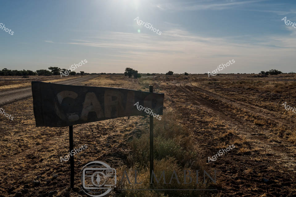 Dusty cattle station signage emerges from the arid landscape, capturing the harsh beauty of Australia's inland pastoral regions. A weathered black sign bearing partial text stands sentinel across a sun-bleached, drought-affected paddock, with sparse native trees punctuating the distant horizon. The golden-brown earth reflects the unforgiving climate, with scattered dry grasses and compacted soil telling a story of resilience and agricultural challenge. Faint dirt tracks wind through the expansive terrain, suggesting the extensive networks that connect remote cattle stations across thousands of hectares. Soft, diffused sunlight bathes the scene, casting gentle shadows and creating a sense of quiet endurance characteristic of outback farming landscapes. This image encapsulates the raw, uncompromising spirit of Australian agricultural enterprise - where survival depends on adaptation, hard work, and an intimate understanding of an unforgiving environment.