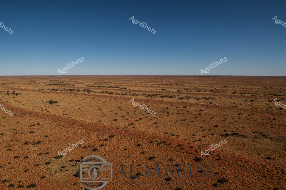 Vast Outback Pastoral Landscape

Burnt sienna and ochre earth stretches to an infinite horizon beneath a crystalline azure sky, revealing the raw beauty of central Australian rangelands. Sparse, weathered shrubs punctuate the rocky, sun-baked terrain, illustrating the resilient ecosystem of a remote pastoral station. The arid landscape speaks to generations of agricultural persistence, where carefully managed livestock grazing maintains delicate ecological balance across seemingly inhospitable ground. Scattered volcanic rocks and minimal vegetation demonstrate the challenging conditions that define successful drought-resistant agricultural practices in this unforgiving environment. The deep reddish-orange ground tells a geological story of ancient weathering, while the clear, cloudless sky suggests a scorching midday heat typical of inland Australian territories. This expansive scene captures the essence of large-scale pastoral enterprise - a testament to human adaptation and agricultural tenacity in one of the world's most demanding landscape.