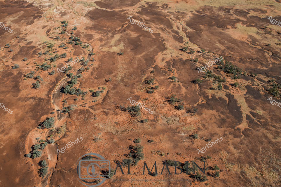 Arid Inland Landscape: Central Australian Pastoral Terrain

Russet-red earth stretches across an expansive aerial view of a remote pastoral station, revealing the intricate topography of Australia's harsh interior. Scattered eucalyptus trees punctuate the rugged landscape, their deep green canopies creating organic patterns against the burnt sienna and ochre ground. Dry watercourses and subtle geological undulations trace meandering paths through the terrain, showcasing the resilient ecosystem of this unforgiving region. The landscape speaks to generations of pastoral management, where careful land stewardship allows cattle stations to survive in seemingly inhospitable environments. Subtle variations in terrain—from rocky outcrops to sparse vegetation clusters—demonstrate the delicate balance of survival in this arid zone. The photograph captures the raw, untamed beauty of central Australian rangelands, where agricultural practice meets ancient geological formations in a timeless dance of survival and adaptation.