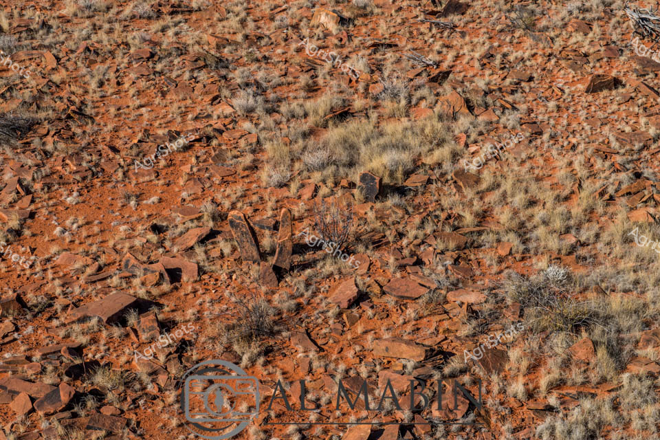 Weathered red earth and scattered stone fragments dominate this aerial view of an arid Australian pastoral landscape. Sparse, sun-bleached spinifex grasses emerge between rust-colored rock fragments, creating a textural mosaic characteristic of central Australian terrain. The rocky ground suggests a challenging agricultural environment typical of remote station country, where pastoral leases extend across vast, unforgiving landscapes. Subtle variations in ochre, terracotta, and pale straw tones create a complex visual fabric that speaks to the resilience of Australian agricultural ecosystems. This perspective reveals the raw, uncompromising beauty of inland terrain - a landscape shaped by extreme temperatures, minimal rainfall, and geological processes spanning millennia. The rugged surface represents the fundamental canvas upon which Australian pastoral industries have been built, reflecting the intricate relationship between land management and survival in one of the world's most demanding agricultural regions.