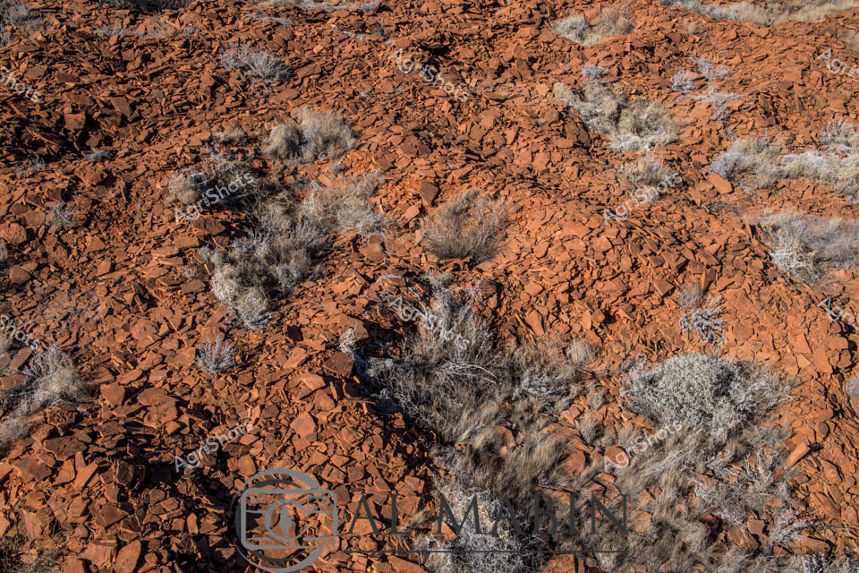 Rugged Pilbara Terrain: Rocky Landscape

Rust-red stones cascade across this quintessential West Australian landscape, revealing the harsh beauty of the Pilbara region. Scattered weathered shrubs - silvery grey and tenacious - punctuate the rocky ground, their sparse forms testament to the extreme environmental conditions. The ground appears like a fractured ceramic surface, broken ochre fragments creating a complex textural mosaic that speaks to centuries of geological transformation. Harsh sunlight reveals every angular stone and twisted vegetation cluster, casting deep shadows that accentuate the terrain's unforgiving character. This vista captures the raw, uncompromising essence of inland Australian terrain - a landscape that demands resilience from any living thing attempting to take root. The image represents the challenging environment of remote station country, where pastoral operations must negotiate such unforgiving ground.