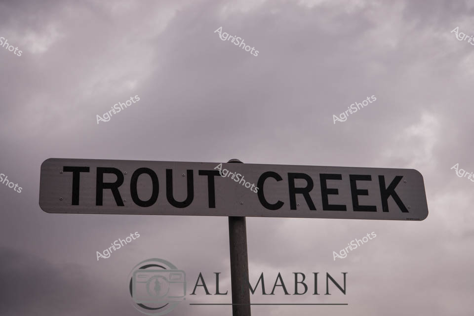 Trout Creek emerges from the misty Tasmanian landscape, its street sign standing stoically against a brooding silver-grey sky. The monochromatic scene captures the rugged essence of rural Tasmania, where waterways and pastoral lands intersect beneath temperamental weather. This geographical marker represents the quiet resilience of remote Australian creek communities, where each location tells a story of natural hydrology and agricultural heritage. The sign's crisp black lettering stands in sharp contrast to the soft, atmospheric background, suggesting both clarity and mystery inherent in rural Tasmania's environmental narrative. The overcast conditions evoke a sense of quiet anticipation, typical of the region's mercurial climate.