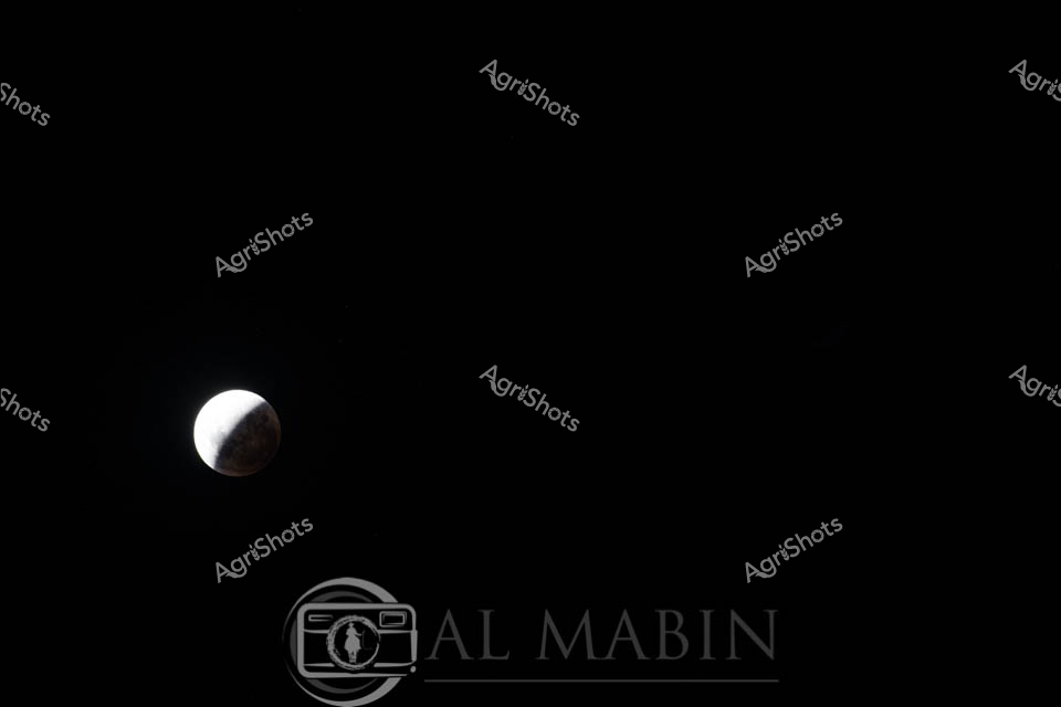Lunar Eclipse Over Rural Tasmania

A stark lunar eclipse unfolds against the deep obsidian canvas of the night sky, capturing a moment of celestial drama characteristic of Tasmania's pristine southern hemisphere landscapes. The moon transitions through a mesmerizing phase, its luminous white surface gradually shadowed by an encroaching darkness, creating a dramatic spherical silhouette. Positioned against the absolute blackness, the lunar orb becomes a compelling focal point, representing the quiet, powerful rhythms of natural cycles that agricultural communities intimately understand and respect. This monochromatic composition speaks to the timeless connection between land, sky, and the subtle transformations that mark agricultural life in Tasmania's remote and beautiful terrain.