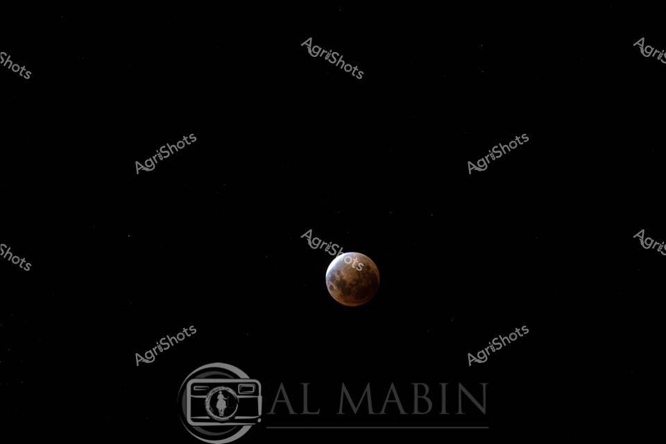 A striking view of the moon during a total lunar eclipse captured in the dark night sky over Tasmania. The moon displays the characteristic reddish-copper coloration that occurs when Earth's atmosphere filters sunlight during the eclipse phase. The celestial event showcases the natural phenomenon against the deep black backdrop of the Tasmanian night, highlighting the moon's textured surface details during this astronomical occurrence.