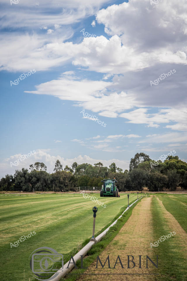 Expansive emerald turf stretches beneath billowing cumulus clouds, bisected by a gleaming irrigation pipeline that leads to a robust green John Deere tractor positioned in the mid-distance. The meticulously maintained sports field or agricultural research ground reveals precision landscape management, with carefully mown grass lanes creating geometric patterns across the verdant terrain. Mature eucalyptus trees frame the horizon, suggesting a classic South Australian rural setting where agricultural expertise meets careful land cultivation. Overhead, a dramatic sky of azure and pearl-white clouds creates a sense of atmospheric depth, highlighting the crisp, clean environment of controlled agricultural production. The irrigation system's metallic pipeline runs arrow-straight, symbolizing the calculated approach to land management and water resources in this arid continent. The scene captures the essence of Australian agricultural innovation - a harmonious blend of technological intervention and natural landscape, where every square meter is purposefully cultivated and respected.