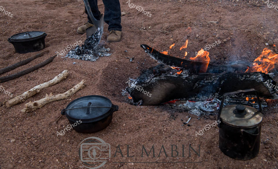 Outback Bush Cooking: Authentic Camp Oven Preparation

Cast-iron camp ovens simmer amid glowing embers on rust-colored earth, capturing the timeless ritual of campfire cooking in remote Queensland station country. Weathered wooden branches and blackened cooking vessels frame a scene of rustic culinary tradition, where flame and ash transform simple ingredients into hearty meals. Sturdy work boots stand near the burning wood, suggesting the presence of a stockman or rural worker maintaining this fundamental camp cooking technique. The rich ochre ground and flickering orange flames create a stark, elemental landscape that speaks to generations of pastoral life, where survival depends on resourcefulness and connection to the land. Smoke curls subtly around the cast-iron pots, hinting at a meal in preparation - perhaps a robust stew or damper bread slow-cooking over carefully managed coals.