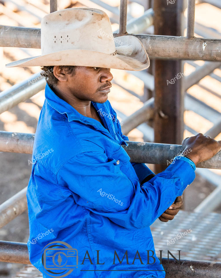 A man working as a station hand leans against metal cattle yard rails at a Western Australian property, wearing a weathered white cowboy hat and bright blue work shirt. The close-up portrait captures the contemplative moment of an experienced stockman during cattle operations, with the galvanized steel infrastructure of the yards creating geometric patterns in the background. His positioning against the sturdy rails demonstrates the daily interaction between workers and the essential equipment that defines Australian cattle station operations.