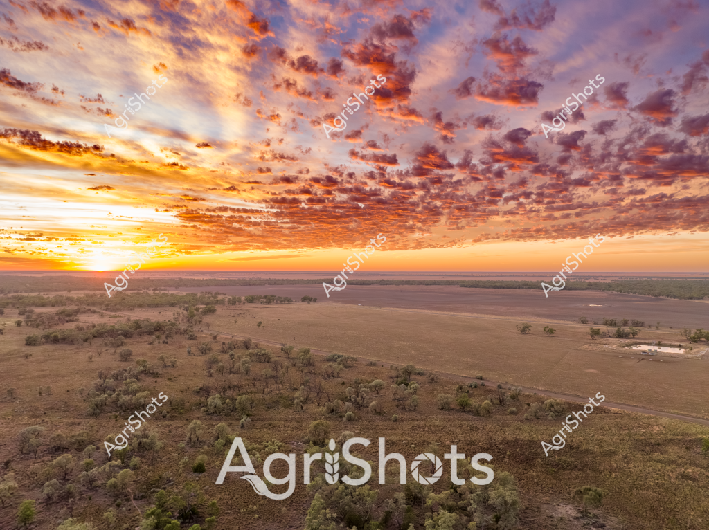 A breathtaking sunrise paints the Australian agricultural landscape in a stunning array of golden, orange, and purple hues. The expansive rural scene captures a classic outback vista, with scattered eucalyptus trees and sparse woodland giving way to broad, dry paddocks stretching towards a distant horizon. Textured clouds dramatically fill the sky, creating a magnificent canvas of warm colors as the sun breaches the landscape, casting long shadows across the parched terrain. The image reveals the raw beauty of Australian agricultural country - a landscape of resilience and wide-open spaces, where farming and nature coexist in a delicate balance. Sparse vegetation and the gently undulating terrain suggest this is likely a grazing property in an inland region, potentially in Queensland or New South Wales. The dramatic sky and golden-brown earth epitomize the rugged character of Australian rural landscapes, highlighting the challenging yet beautiful environment where agricultural work takes place.