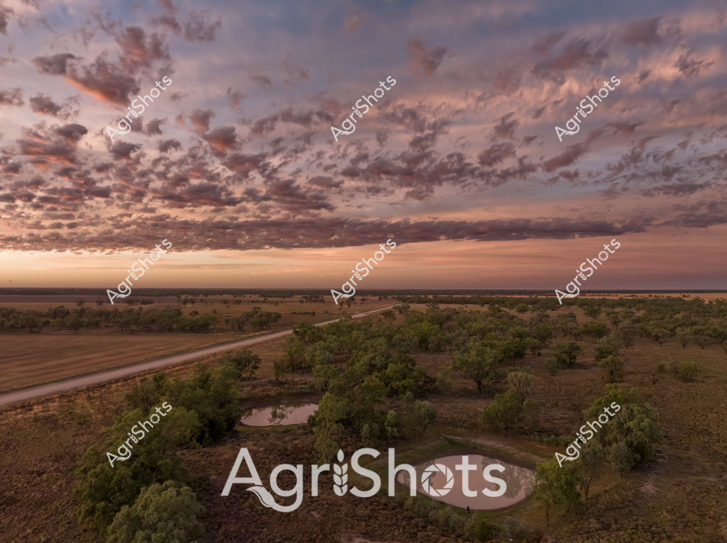 A dramatic aerial landscape captures the expansive rural terrain at sunset, with a breathtaking cloudscape dominating the sky. Soft pink and grey clouds spread across the horizon, casting ethereal light over a diverse agricultural landscape. A winding dirt road cuts through the scene, dividing green and brown paddocks with scattered eucalyptus trees. Small water tanks or dams glint in the foreground, nestled among the native bushland, highlighting the essential water infrastructure of this rural property. The image captures the quintessential Australian agricultural landscape - a vast, open terrain where sky and land merge in a stunning display of natural beauty and agricultural resilience. The golden light and textured clouds create a sense of peaceful isolation, typical of Australia's expansive rural regions.