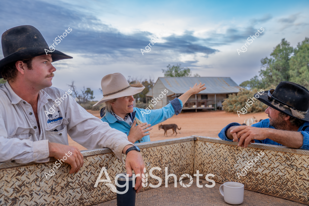 Three men in work attire stand around a textured metal fence, gazing across a dusty rural Australian station yard. A weathered tin shed sits in the background, with a dog wandering across the rich ochre-colored ground. One woman in a blue shirt gestures animatedly, pointing towards something off-frame, while the men in white and blue shirts wearing wide-brimmed work hats listen intently. A white coffee mug sits on the fence, suggesting a break in farm activities or a morning planning discussion. The cloudy sky suggests early morning or late afternoon, with soft light casting subtle shadows across the rustic rural landscape. The scene captures the collaborative nature of station life, with workers seemingly discussing farm operations or livestock management in a classic Australian outback setting.