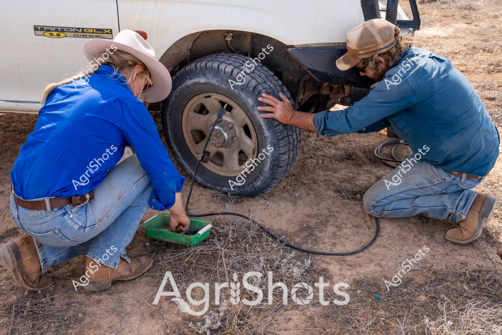 Two people in blue work shirts and cowboy hats are changing a tire on a white vehicle in a dry, dusty outdoor setting. A woman and a man are crouched beside a tire, carefully working together to inflate or adjust it using a green air pump and a black hose. They are wearing typical rural workwear - blue long-sleeved shirts, denim jeans, and wide-brimmed hats that provide protection from the sun. The ground around them is barren and covered in sparse, dry grass, suggesting an arid or drought-affected landscape typical of rural Australian regions. Their cooperative positioning and focused demeanor indicate they are experienced in handling vehicle maintenance in challenging outdoor conditions.

The scene captures the practical, self-reliant spirit of rural workers who must be prepared to handle mechanical issues in remote locations. The white vehicle, likely a utility truck or farm vehicle, appears to be a Toyota model based on the partial "TRON" branding visible on the side, emphasizing the robust equipment used in agricultural settings.