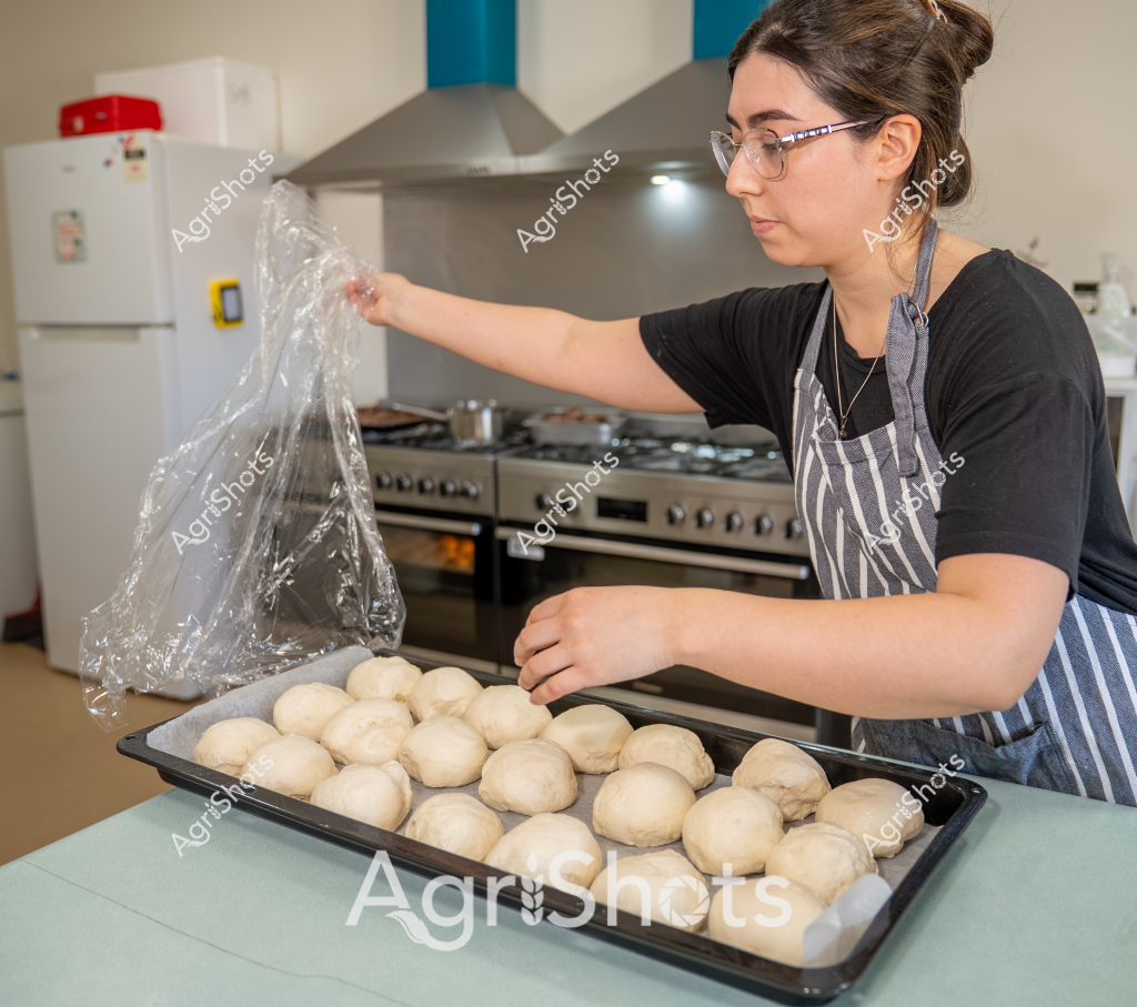 A woman in a striped apron and black shirt stands in a commercial kitchen, carefully preparing a batch of freshly made bread rolls. Arranged neatly on a large baking tray are multiple uniform dough balls, each perfectly shaped and proofing before baking. She is using a clear plastic bag, likely for covering the dough to prevent it from drying out during the rising process. The professional kitchen environment is visible, with a stainless steel stove and range hood in the background, and a white refrigerator to the side. The woman wears glasses and has her hair pulled back, demonstrating a focused and methodical approach to bread preparation. The scene captures the precise craftsmanship involved in artisan bread making, with each dough ball showing a smooth, even texture that suggests careful kneading and shaping.