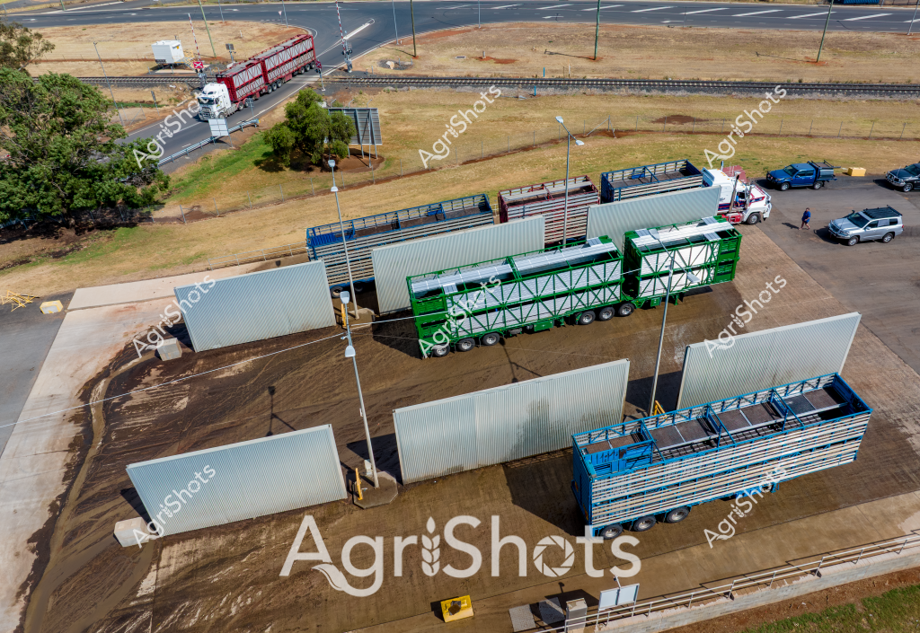 An aerial view of a transport and logistics hub showcases specialized livestock trailers designed for cattle transportation. Multiple multi-axle trucks with green, blue, and white animal transport containers are strategically positioned on a concrete hardstand area adjacent to railway lines. The scene reveals heavy-duty commercial vehicles with intricate steel framing and multiple decks, engineered to safely move livestock across Australian agricultural regions. Surrounding infrastructure includes grassy verges, bitumen roads, and railway tracks, indicating this is a professional livestock transportation staging area. Parked vehicles in the background suggest ongoing logistics operations, with the entire facility demonstrating the sophisticated infrastructure supporting Australia's cattle transport networks.

The trailers feature robust steel construction with multiple levels, ventilation gaps, and secure railings - critical design elements for animal welfare during long-distance transportation. The green and blue color schemes of the trailers provide visual contrast against the dusty brown ground and gray infrastructure, highlighting the specialized nature of agricultural transport equipment.