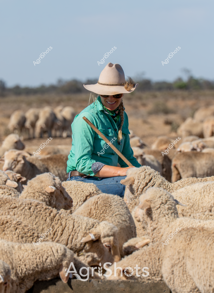 A woman shepherd sits among a flock of Merino sheep in a dry, sparse landscape, wearing a cream-colored wide-brimmed hat and a vibrant teal shirt. Her calm demeanor and confident posture suggest years of experience managing livestock across the Australian outback. The woolly sheep crowd around her, their thick fleeces a uniform beige that blends with the dusty, rocky terrain stretching to the distant horizon. Holding a herding staff and dressed in practical working attire - denim jeans and a checked shirt sleeve - she appears completely at ease in the midst of the flock. The clear sky and open landscape emphasize the isolation and challenging environment of sheep farming in rural Australia. Her outfit and positioning highlight the skill and resilience required to manage livestock in such demanding conditions, embodying the spirit of Australian agricultural workers.