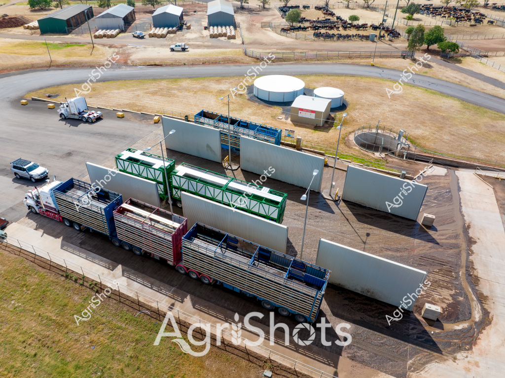 An aerial view of a livestock processing facility reveals a complex agricultural infrastructure designed for efficient cattle management. Large white modular walls and green-framed structures create a systematic loading and unloading area for semi-trailer trucks. White cylindrical water tanks and circular holding pens surround the central processing zone, indicating a modern cattle handling facility likely located in a dry, arid region with sparse vegetation and dusty ground.

A semi-trailer truck is positioned within the loading zone, suggesting preparation for transporting livestock. The surrounding landscape features several industrial-style sheds with metal roofing in green and grey tones, and a series of fenced paddocks where numerous dark-colored cattle can be seen clustered together.

The infrastructure demonstrates precision engineering typical of contemporary Australian agricultural operations, with carefully designed pathways, sturdy infrastructure, and strategic layout to maximize efficiency in livestock movement and processing. Gravel and concrete surfaces provide durable, functional spaces for heavy vehicle and animal traffic, reflecting the demanding environmental conditions of rural livestock production zones.

The aerial perspective offers a comprehensive view of the facility's layout, highlighting the sophisticated systems developed to manage large-scale cattle operations in challenging agricultural environments.