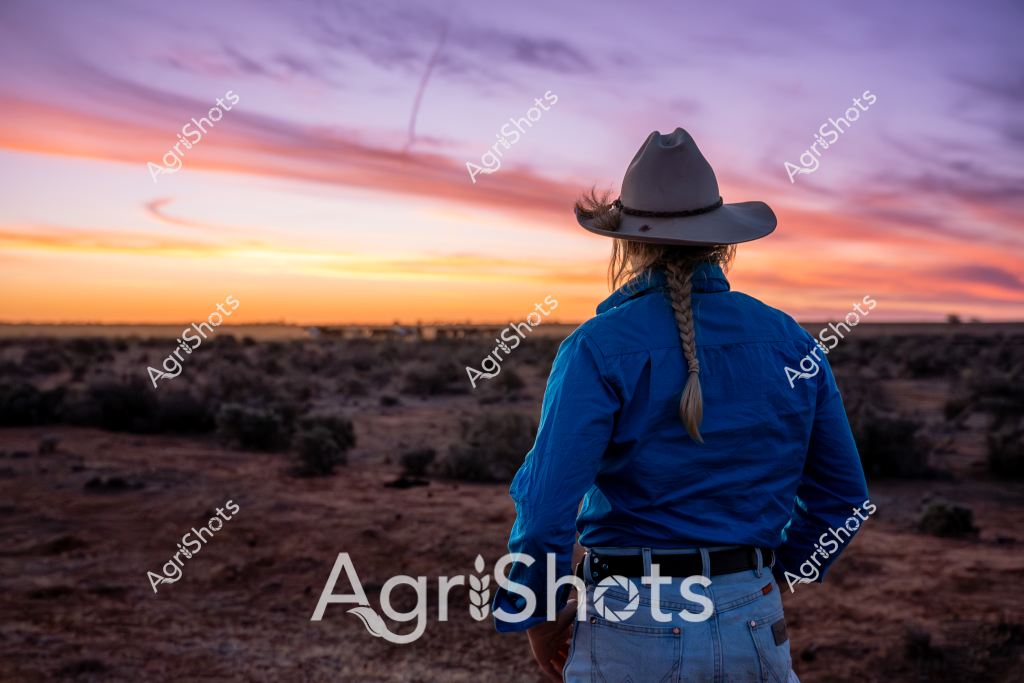 A woman stockman stands with her back to the camera, surveying a vast arid landscape at sunset. Wearing a gray cowboy hat and a vibrant blue jacket, she gazes across a rugged outback terrain dotted with scattered scrub and low bushes. The sky blazes with a stunning palette of purple, orange, and golden hues, creating a dramatic backdrop that silhouettes her braided hair and Western-style clothing. Her posture suggests quiet contemplation, embodying the solitary and resilient spirit of rural Australian life. The expansive horizon and muted earth tones of the landscape emphasize the sense of space and isolation characteristic of remote Australian pastoral regions.