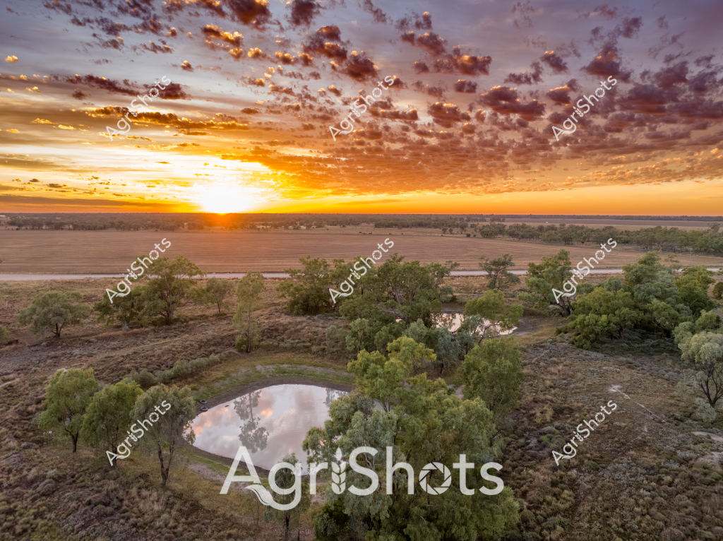 A breathtaking sunrise landscape captures the essence of Australian rural terrain, with a stunning sky ablaze in golden and purple hues. The foreground features a serene water dam nestled among scattered eucalyptus trees, reflecting the dramatic cloudscape above. Expansive agricultural paddocks stretch toward the horizon, revealing the typical undulating landscape of what appears to be a broad-acre farming property. The sunrise casts warm orange and yellow light across carefully managed farmland, highlighting the intricate relationship between natural beauty and agricultural development. Sparse trees dot the surrounding terrain, providing natural breaks in the landscape and creating depth in the composition. The water dam, circular and reflective, serves as a critical water resource for the surrounding agricultural environment, symbolizing the importance of water management in Australian farming regions.