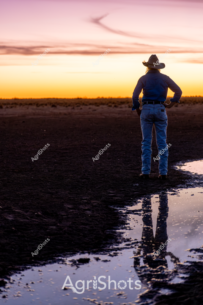 A woman stockman stands silhouetted against a luminous sunset, gazing across a vast, dark agricultural landscape. Wearing classic rural attire - blue jeans, a dark jacket, and a wide-brimmed cowboy hat - she is positioned near a reflective water puddle that perfectly mirrors her outline. The sky blazes with warm gradients of yellow, orange, and soft pink, creating a dramatic backdrop that stretches horizontally across the horizon. Her stance suggests contemplation, with hands positioned on her hips, suggesting a moment of quiet observation at the end of a long working day. The foreground is dark and textured, with wet ground reflecting the figure and the expansive sky, symbolizing the connection between the land and those who work it. This evocative image captures the solitary, reflective nature of rural life, where a moment of stillness reveals the profound relationship between a person and the agricultural landscape.