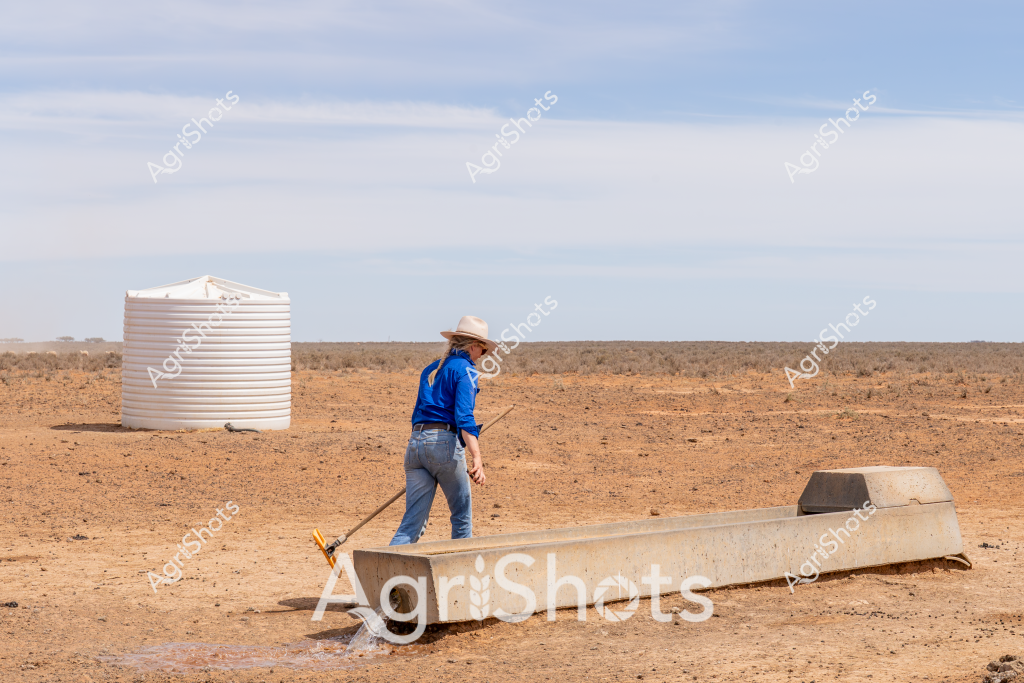 A woman in a blue long-sleeved shirt and wide-brimmed hat stands in a dry, expansive rural landscape, examining a concrete water trough beside a large white water storage tank. The arid paddock stretches to the horizon, with reddish-brown soil and sparse vegetation typical of drought-affected Australian agricultural regions. Her stance suggests careful inspection of critical water infrastructure, highlighting the challenges of managing agricultural resources in harsh, water-scarce environments. The wide-open landscape and essential water infrastructure underscore the resilience required in Australian farming, where water management is crucial for survival during extended dry periods.