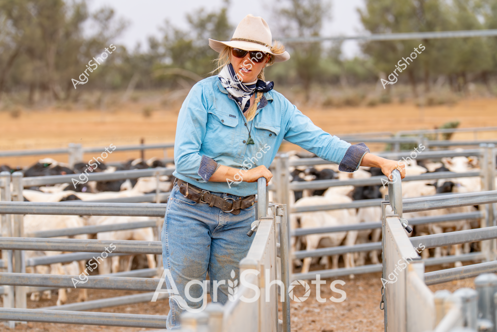 A woman stockman stands confidently among sheep yards in an arid Australian landscape, wearing classic rural workwear. Dressed in a light blue long-sleeved shirt, faded denim jeans, and a wide-brimmed protective hat, she leans casually against metal livestock gates with a herd of sheep visible in the background paddock. Her outfit is completed with sunglasses and a navy neck scarf, typical attire for managing livestock in harsh outback conditions. The surrounding environment shows a dry, golden-brown landscape with sparse trees and shrubs, characteristic of inland Australian pastoral regions. Her relaxed posture and professional stance suggest extensive experience handling livestock in challenging rural environments. The metal livestock yards and fencing provide a structured backdrop to the scene, highlighting the essential infrastructure of Australian sheep farming.