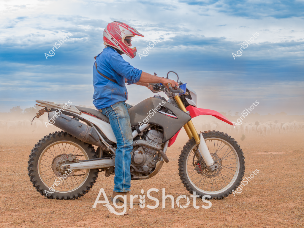 A man in a blue jacket and blue jeans rides a red and white dirt bike across a dusty rural landscape. Wearing a red and white motocross helmet, he sits astride an off-road motorcycle with rugged knobby tires designed for rough terrain. The bike appears to be a high-performance dirt bike or enduro motorcycle, with a lean, muscular frame and gold-colored front forks. The surrounding environment is a dry, arid landscape with a pale earth-toned ground and a cloudy blue sky in the background, suggesting this is likely an open paddock or rural training area. The rider's posture suggests he is either paused or moving slowly, with the motorcycle kicking up a small cloud of dust beneath its wheels. The scene captures the raw energy of off-road motorcycling in a typical Australian rural setting, highlighting the machine's capability and the rider's skill in navigating challenging terrain.