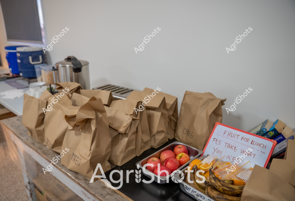 Based on the image and the context, here's a detailed description:

A workplace lunch preparation scene reveals multiple brown paper lunch bags neatly arranged on a counter, each labeled with what seems to be individual names. A handwritten sign reads "FRUIT FOR LUNCH - PLS TAKE WHAT YOU NEED" alongside a tray of fresh red apples and some bananas. Stainless steel containers and a blue cooler are visible in the background, suggesting an organized workplace or community meal preparation setting. The scene demonstrates a thoughtful approach to providing nutritious lunch options, with individual portions prepared and fresh fruit made available for participants. The neutral color palette and systematic arrangement indicate a professional, considerate environment focused on employee or participant wellness.