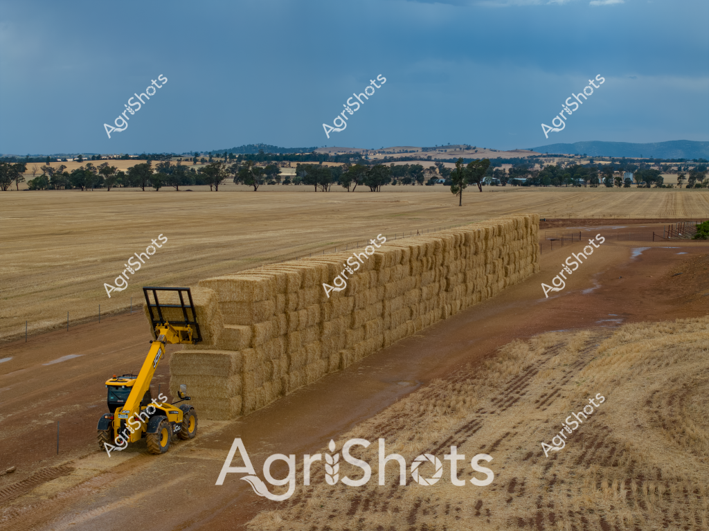 A stunning agricultural landscape captures a strategic hay storage operation in a dry, expansive Australian rural setting. A bright yellow telescopic handler (telehandler) is positioned beside a massive wall of rectangular hay bales, carefully stacked with precision on a dirt hardstand area. The surrounding landscape features scattered eucalyptus trees dotting golden-brown paddocks, with distant mountain ranges creating a muted blue horizon under an overcast sky. The telehandler, likely a crucial piece of farm equipment for efficient hay management, demonstrates the mechanical sophistication of modern agricultural practices in managing large-scale hay production and storage. The neat, uniform stacking of hay bales suggests meticulous farm management, with each bale strategically placed to maximize storage efficiency and protect the valuable agricultural produce from potential moisture or environmental degradation. The expansive, open landscape highlights the scale of Australian agricultural operations, where machinery and strategic land use are critical to successful farming in challenging rural environments.