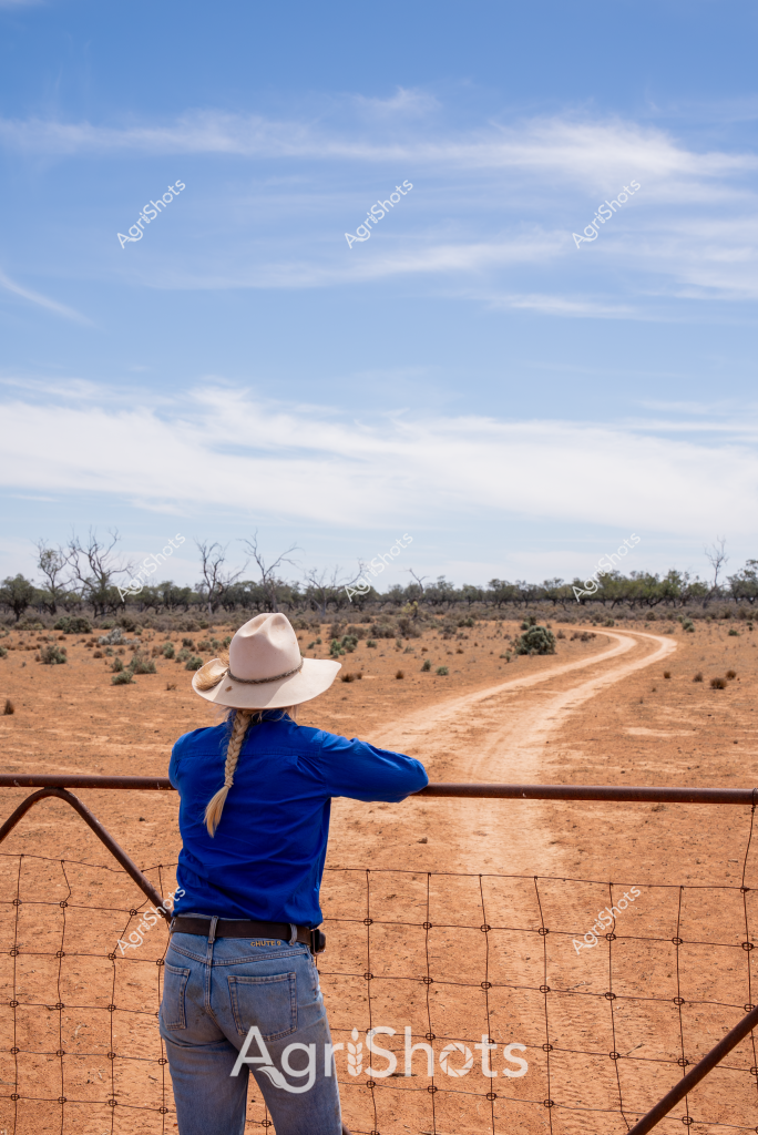 A woman in a blue shirt and wide-brimmed hat stands at a rural gate, gazing across a vast, arid Australian landscape. Her back is turned to the camera as she looks out over a sweeping dirt track that winds through a sparse, drought-affected paddock. Sparse scrub and leafless trees dot the distant horizon, creating a sense of isolation and resilience typical of Australia's inland regions.

The landscape is a study in earthy tones - rich reddish-brown soil, dusty ground, and muted olive vegetation contrasting against a soft blue sky with wispy clouds. The woman's bright blue shirt provides a vivid splash of color against the monochromatic background, symbolizing human presence in this challenging environment.

A sturdy wire fence runs in the foreground, marking property boundaries and suggesting the ongoing agricultural management of this harsh terrain. The scene captures the essence of rural Australian life - a quiet moment of contemplation amid the vast, unforgiving landscape that defines much of the continent's interior.

The image conveys a sense of solitude, endurance, and connection to the land, with the woman's posture suggesting both reflection and determination in the face of challenging environmental conditions.