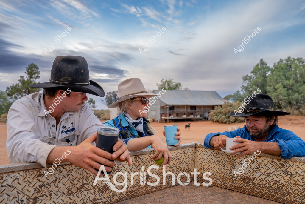 Three men wearing wide-brimmed Australian bush hats sit at a textured metal table in a remote rural setting, holding thermal mugs and sharing a moment of camaraderie. A weathered tin shed stands in the background, with sparse trees and an open dirt yard typical of an outback station or remote agricultural property. The sky is dramatic, with soft cloud formations creating a moody backdrop of blues and grays that suggest early morning or late afternoon light.

The men are dressed in typical rural workwear - one in a white work shirt, another in a blue shirt, all wearing practical wide-brimmed hats that provide protection from the harsh Australian sun. Their posture and the shared moment around the table suggest a break from rural work, perhaps discussing the day's tasks or simply enjoying a moment of rest. A dog can be seen in the distant background, adding to the quintessential rural Australian scene.

The landscape speaks of resilience - a dusty, open environment that characterizes much of Australia's agricultural heartland, where farming and station life demand strength and community. The textured metal table and the men's relaxed demeanor capture the essence of rural Australian working life, highlighting the social connections that are crucial to survival in challenging environments.