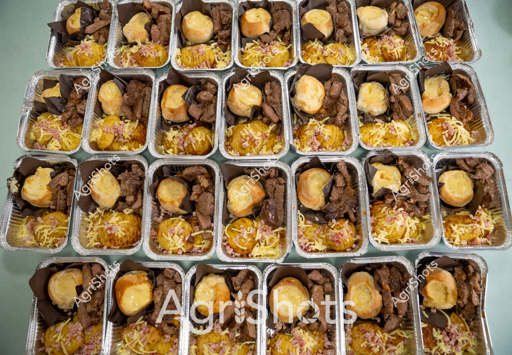 A meticulously prepared batch of meal preparation containers showcases a consistent and professional catering arrangement. Each aluminum tray contains carefully portioned components: golden-brown roasted or baked potatoes, seasoned brown meat chunks, and shredded cheese with what appears to be ham or bacon bits. The trays are uniformly arranged in multiple rows, demonstrating precision in food service and portion control. The consistent color palette of browns, yellows, and hints of pink creates a visually appealing grid of identical meal packages, suggesting a large-scale catering operation or commercial food preparation service. The uniform presentation indicates careful planning and execution in food portioning and packaging.

The image appears to be categorized under potential tags like:
- Food Retail
- Meal Preparation
- Catering
- Portion Control
- Commercial Kitchen
- Protein Meals
- Packaged Food
- Bulk Cooking