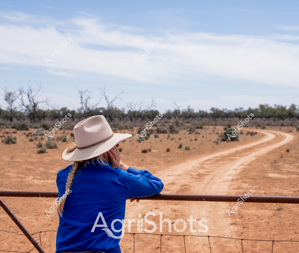 A woman in a bright blue shirt and wide-brimmed hat stands facing away from the camera, leaning against a fence and gazing out over a classic Australian outback landscape. The dusty red dirt track winds through sparse scrubland, with scattered trees and low vegetation stretching toward a pale blue sky with wispy clouds. Her braided hair is visible beneath her light-colored hat, and her posture suggests a moment of quiet contemplation of the vast, arid rural landscape. The scene captures the essence of rural Australian life - a sense of isolation, resilience, and connection to the harsh but beautiful inland environment. The fence in the foreground and the meandering dirt road create a strong sense of perspective, drawing the viewer's eye into the expansive, sunbaked terrain typical of Australia's interior regions.