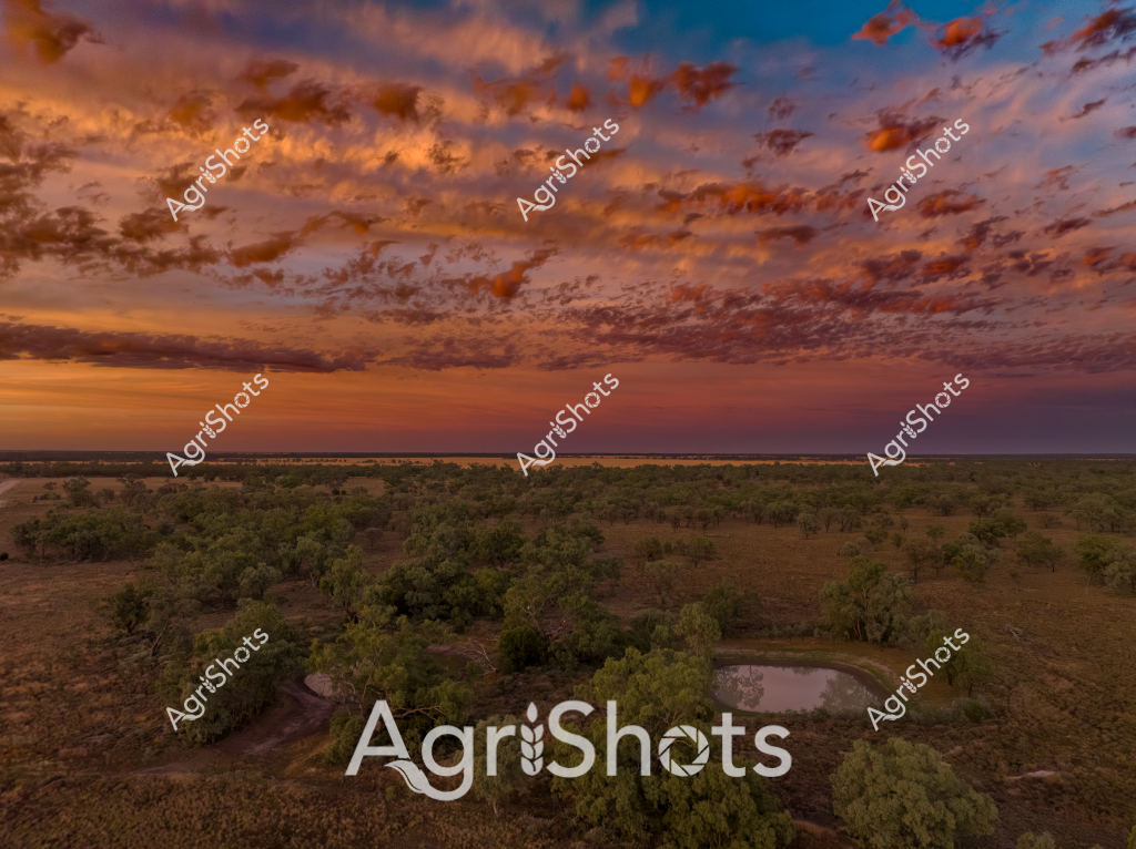 The image captures a stunning Australian rural landscape at sunset, showcasing a vast, green-timbered wilderness with a small dam or waterhole nestled among the trees. The sky is a breathtaking canvas of golden, orange, and deep blue hues, with dramatic cloud formations creating an intricate textural display across the horizon. Sparse eucalyptus trees dot the landscape, their dark green forms providing contrast against the warm, glowing sky and the surrounding dry grasslands. The small water body reflects the surrounding landscape, suggesting this is likely an arid or semi-arid region where water is a precious resource for both wildlife and potential agricultural activities. The expansive view suggests this could be a cattle station or vast pastoral property in the Australian outback, with the dramatic sunset highlighting the raw, untouched beauty of the rural environment. The scene conveys a sense of solitude, vastness, and the rugged resilience characteristic of Australian rural landscapes.