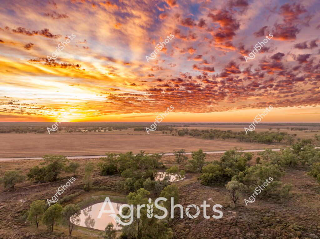 A breathtaking sunset landscape unveils a stunning agricultural vista in rural Australia, with an expansive sky ablaze in golden, orange, and purple hues. Dramatic clouds stretch across the horizon, creating a spectacular canvas above a patchwork of farming terrain. In the foreground, a series of small water bodies nestled among green trees provide a vital water source for the surrounding landscape. The carefully cultivated paddocks and fields stretch into the distance, revealing the intricate relationship between agricultural land management and the natural environment. A road winds through the terrain, connecting different sections of the property and highlighting the strategic layout of this rural property. The scene captures the raw beauty of the Australian agricultural landscape, with its wide-open spaces, strategic water resources, and the incredible natural light that transforms the environment during the golden hours of sunset.