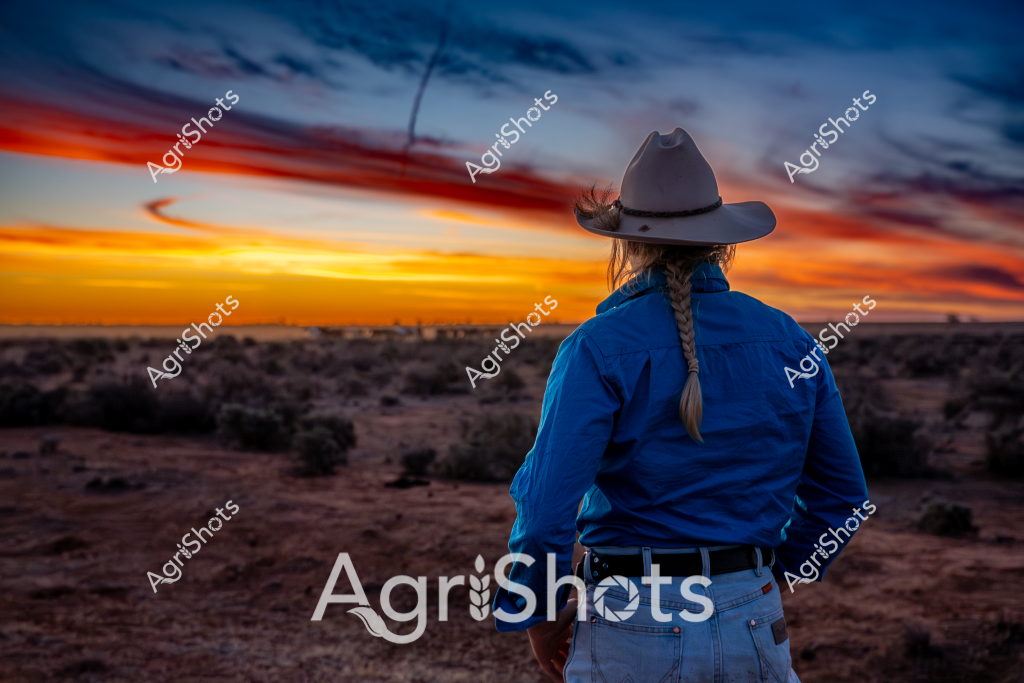 A woman stockman stands facing a dramatic sunset over an arid Australian landscape, wearing a blue jacket and gray cowboy hat with a long braid hanging down her back. The expansive vista reveals a rugged outback scene with scattered scrub and low bushes stretching toward a horizon ablaze with vibrant orange and yellow light. Soft blue tones dominate the early evening sky, creating a striking contrast with the warm sunset colors. Her silhouetted figure represents the quintessential spirit of rural Australian pastoral life - resilient, solitary, and deeply connected to the vast and challenging landscape. The scene captures a moment of quiet reflection, with the woman seemingly contemplating the day's end in this remote and beautiful terrain.