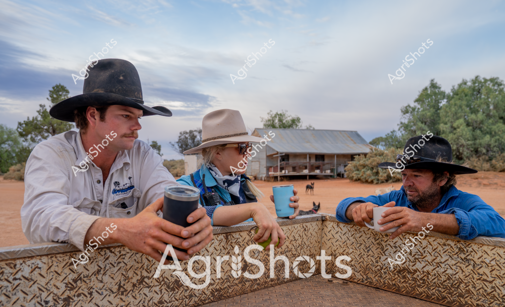 Three men in rural Australian workwear share a break moment on a dusty outback station, their blue shirts and wide-brimmed hats reflecting the classic pastoral style. Seated at a textured metal surface with a rustic tin shed and wandering dog in the background, they hold thermal mugs, suggesting a moment of rest during a long working day. The landscape is quintessentially Australian - a sandy, ochre-colored ground punctuated by sparse grey-green bushes and a soft, cloud-streaked sky typical of the arid interior. One man wears a black cowboy-style hat, another a light cream fedora, while the third sports a similar dark hat, all wearing long-sleeved work shirts in white and blue tones. The scene captures the camaraderie and quiet resilience of rural workers, with the weathered shed and open landscape emphasizing the challenging environment of Australian agricultural work. Their relaxed postures and shared drinks represent a universal moment of connection in the demanding world of station life.