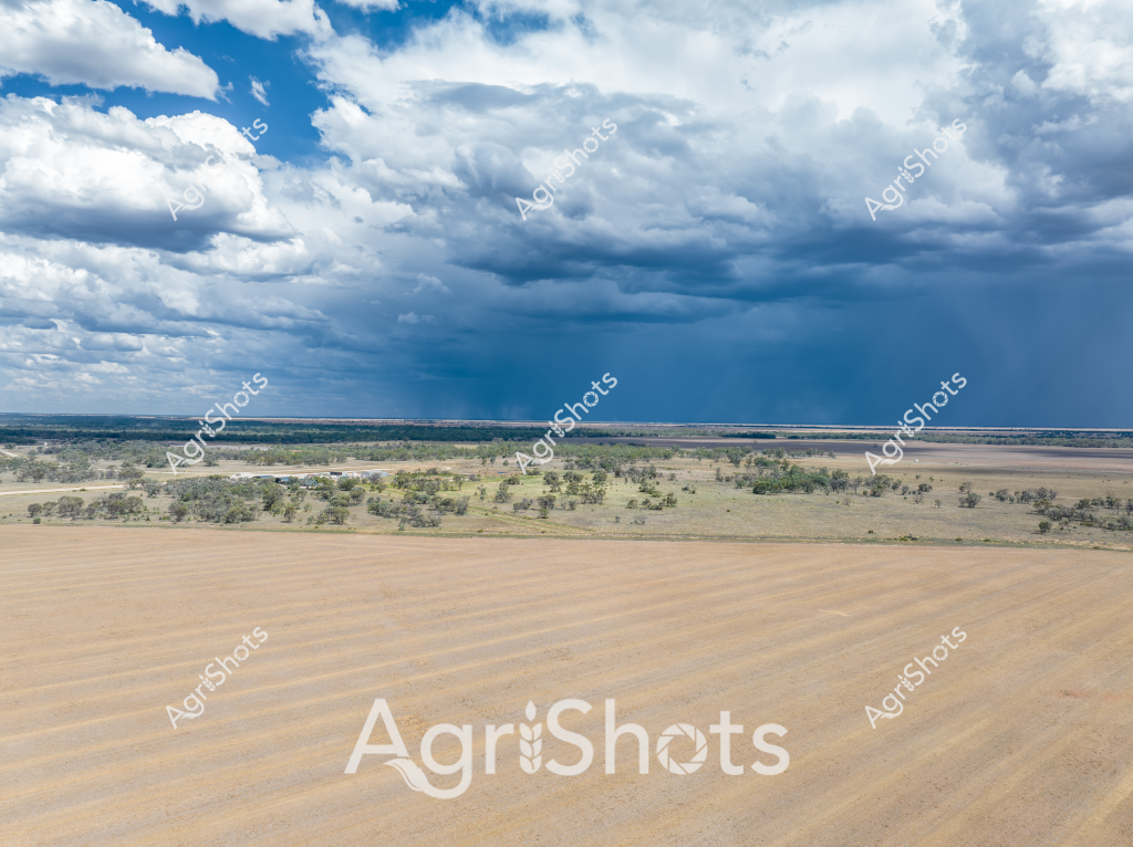 A dramatic rural landscape captures an approaching storm over a vast agricultural terrain. Dark, brooding storm clouds gather across the expansive blue sky, creating a powerful contrast with the golden-brown harvested paddock in the foreground. The landscape reveals a classic Australian rural scene with scattered eucalyptus trees dotting the mid-ground, their muted green forms breaking up the extensive flat terrain. A subtle gradient of landscape unfolds - from the freshly harvested field in the immediate foreground, through sparse woodland, and stretching towards a distant horizon where sky meets land. The cloud formation suggests an imminent rainfall, with dense blue-gray clouds promising precipitation over the dry agricultural landscape. The scene epitomizes the dramatic and unpredictable nature of Australian agricultural environments, where weather plays a crucial role in farming conditions.