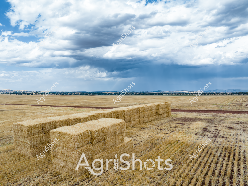 A vast agricultural landscape stretches beneath dramatic storm clouds, featuring neatly stacked rectangular hay bales in the foreground. Golden wheat stubble covers the harvested field, with neat rows of recently cut crop lines visible across the expansive terrain. Thick gray and white clouds build dramatically in the sky, creating a moody backdrop that contrasts with the warm golden tones of the harvested paddock. The rectangular hay bales are precisely stacked, demonstrating the efficiency of modern agricultural harvesting techniques. The distant horizon reveals a low line of trees and rural buildings, suggesting this is a typical Australian broadacre farming region, likely in a wheat-producing state such as Western Australia, South Australia, or New South Wales. The image captures the scale and precision of contemporary grain and hay production, highlighting the agricultural landscape's geometric beauty and the farmer's meticulous approach to harvesting and storage.
