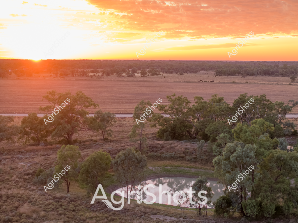 A stunning rural sunset landscape captures the essence of the Australian agricultural heartland. A serene water dam nestled among scattered eucalyptus trees creates a focal point in the foreground, surrounded by dry grasslands and cultivated paddocks stretching toward the horizon. The sky blazes with warm orange and golden hues, casting a rich, luminous light across the expansive landscape that highlights the undulating terrain and sparse woodland. Carefully plowed agricultural fields dominate the middle ground, indicating recent farming activity and crop preparation. The scene epitomizes the rugged beauty of Australia's agricultural regions, where carefully managed landscapes meet natural bushland under a dramatic evening sky. The water dam reflects the sunset, providing a critical water source for livestock and farming operations in what appears to be a semi-arid or pastoral zone.