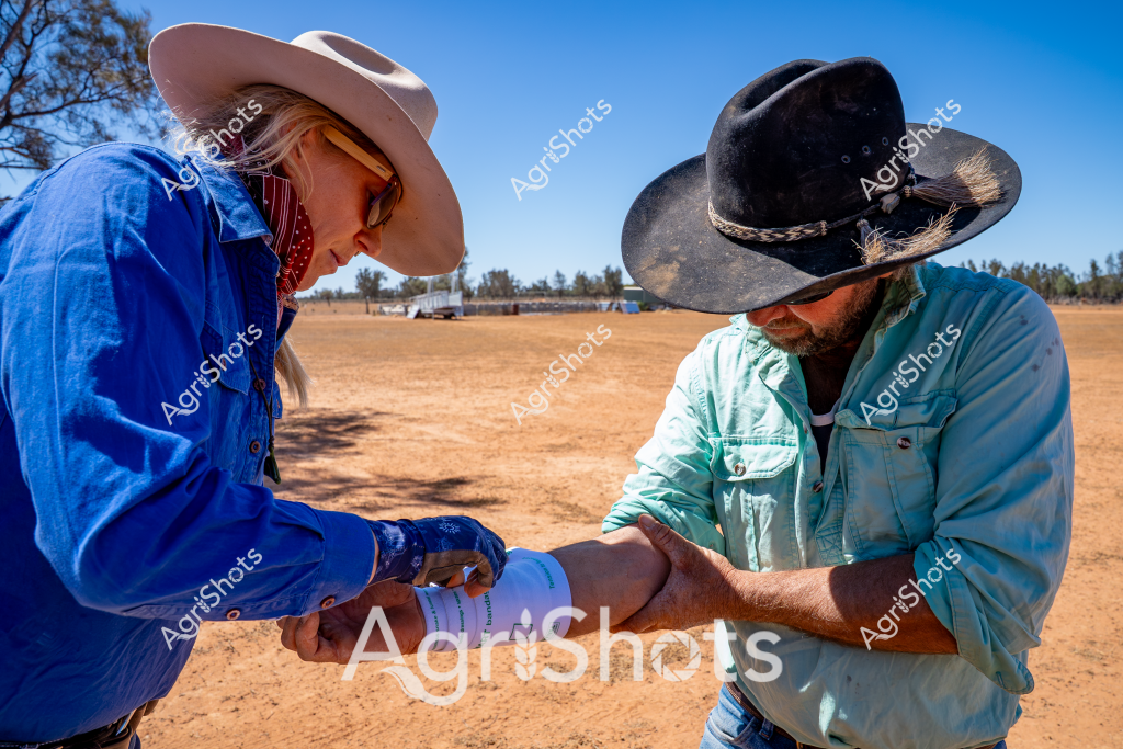 A woman in a blue long-sleeved shirt and a light cowboy hat and a man wearing a light blue shirt and a black cowboy hat are standing in a dry, dusty rural setting. The scene appears to be on an Australian agricultural property, with sparse trees and farm infrastructure visible in the background. The two are engaged in what seems to be a medical or veterinary procedure, with the woman carefully attending to the man's arm, potentially applying a bandage or performing some kind of treatment. Their clothing and wide-brimmed hats suggest they are experienced rural workers, likely dealing with the challenging conditions of an arid agricultural landscape. The ground is a parched, reddish-brown color, indicating dry conditions typical of many parts of rural Australia.

The detailed interaction and professional attire suggest this could be a routine medical check or emergency treatment in a remote farming environment, highlighting the self-reliant nature of agricultural workers who often must provide immediate care in isolated locations.