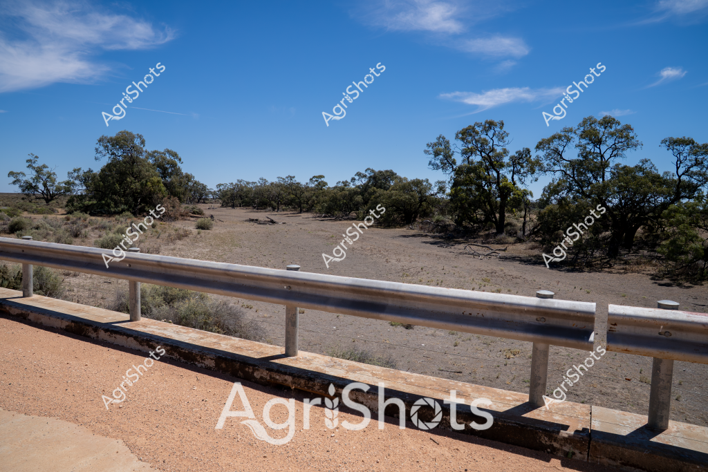 A dry, drought-affected landscape reveals the challenging environmental conditions of an Australian rural setting. Sparse trees and scrubby vegetation dot the dusty terrain, with a metal guardrail in the foreground marking what appears to be a rural road or access track. The ground is parched and cracked, with a pale brown earth tone stretching across the paddock, punctuated by scattered eucalyptus trees with their characteristic silvery-green foliage. The sky is a brilliant clear blue with wispy white clouds, providing a stark contrast to the arid landscape below. This scene captures the harsh reality of drought conditions in the Australian outback, where the land appears stressed and water-starved, highlighting the ongoing environmental challenges faced by rural and agricultural communities.

The landscape suggests this is likely an area in western New South Wales or inland Queensland, where prolonged dry periods can dramatically transform the natural environment. The guardrail provides a sense of scale and human presence, though no people are visible in this stark representation of agricultural resilience in the face of challenging climatic conditions.