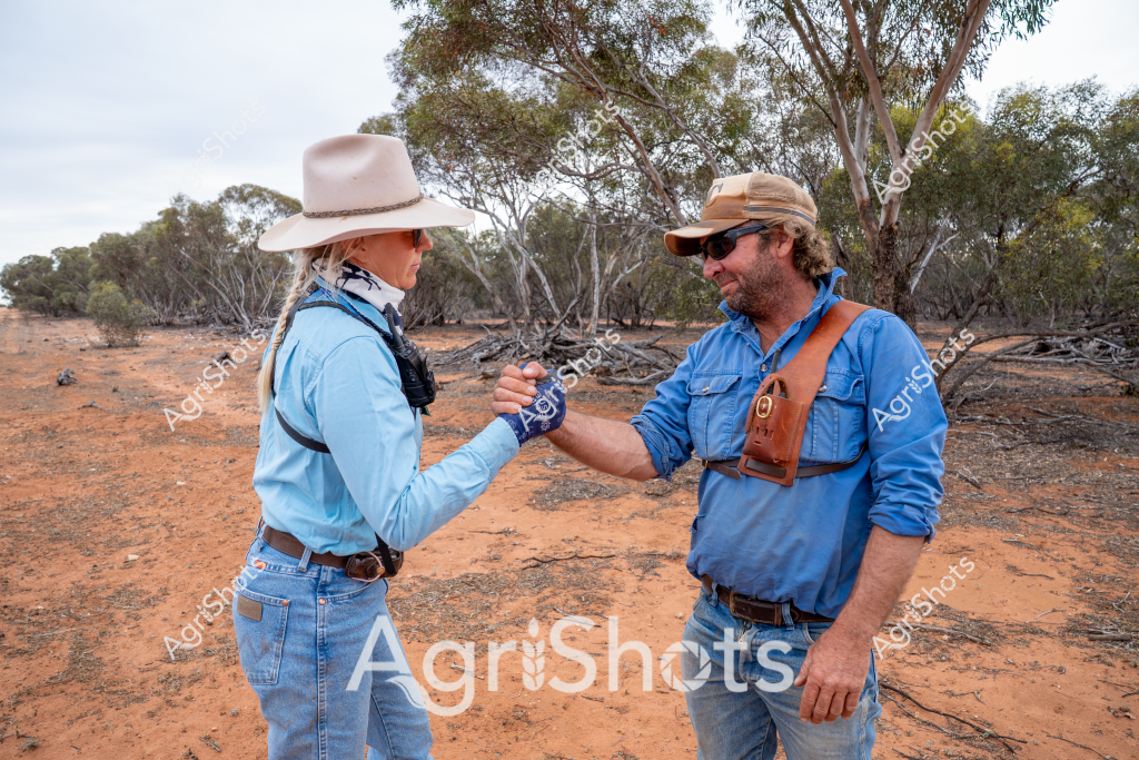 Two agricultural workers share a moment in a remote Australian landscape, standing on red earth surrounded by sparse eucalyptus trees. A woman wearing a wide-brimmed white hat and light blue work shirt stands facing a man in a blue work shirt, tan cap, and sunglasses. They are exchanging something - possibly water bottles or discussing field work - in what appears to be an arid, drought-affected region with scattered woodland in the background.

The landscape is quintessentially Australian, with reddish soil, scattered fallen timber, and grey-green eucalyptus trees creating a stark, rugged backdrop. Both individuals are dressed in typical rural workwear - long-sleeved shirts, denim jeans, and protective headwear suited to harsh outdoor conditions. Their body language suggests a professional but collegial interaction, likely related to agricultural or environmental work in a challenging rural setting.

The scene captures the resilience and camaraderie characteristic of Australian agricultural workers, who must navigate extreme environmental conditions while maintaining professional relationships and shared purpose in managing rural landscapes.