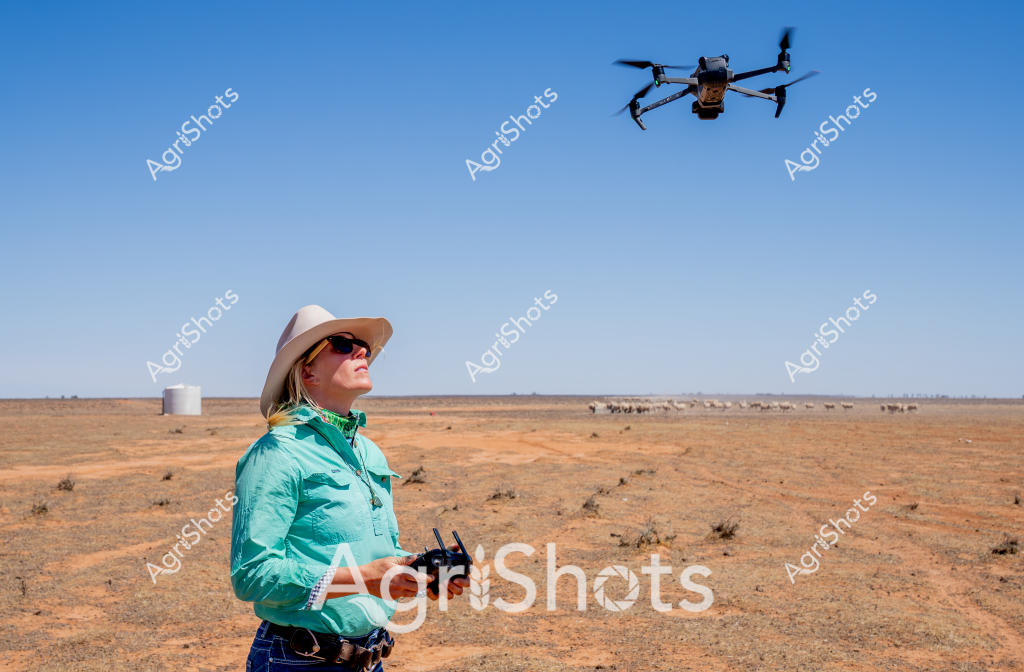 A woman in a turquoise long-sleeved shirt and a wide-brimmed sun hat stands in a dry, expansive outback landscape, operating a drone with precision. The arid terrain stretches to the horizon, dotted with sparse vegetation and a distant water tank, while a herd of cattle grazes in the far background. A professional-grade drone hovers overhead, capturing aerial imagery of the remote pastoral property. The clear blue sky and reddish-orange soil create a stark, quintessential Australian agricultural scene that highlights the modern technological approaches used in contemporary farm management. The woman's focused stance and professional equipment demonstrate the increasing integration of drone technology in monitoring livestock, assessing land conditions, and managing large-scale agricultural properties across Australia's challenging rural landscapes.