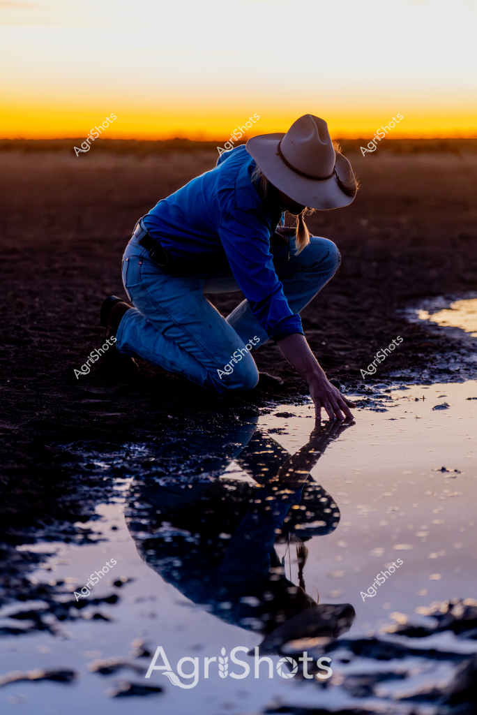 A woman farmer in a blue jacket and wide-brimmed hat kneels intently beside a reflective pool of water at sunset, her silhouette dramatically captured against the golden-orange horizon. The landscape appears to be a dark, textured agricultural field, with wet ground creating a mirror-like surface that perfectly reflects her crouched form. The soft evening light creates a sense of quiet contemplation, suggesting she might be examining soil moisture, checking water levels, or simply taking a moment to connect with the land during the transitional time between day and night. Her posture - bent low, hand nearly touching the water's surface - communicates a sense of careful observation and intimate connection with the agricultural environment. The rich color palette of deep blues, golden yellows, and dark earth tones emphasizes the serene and introspective mood of this rural scene, capturing a quiet moment of professional agricultural work.