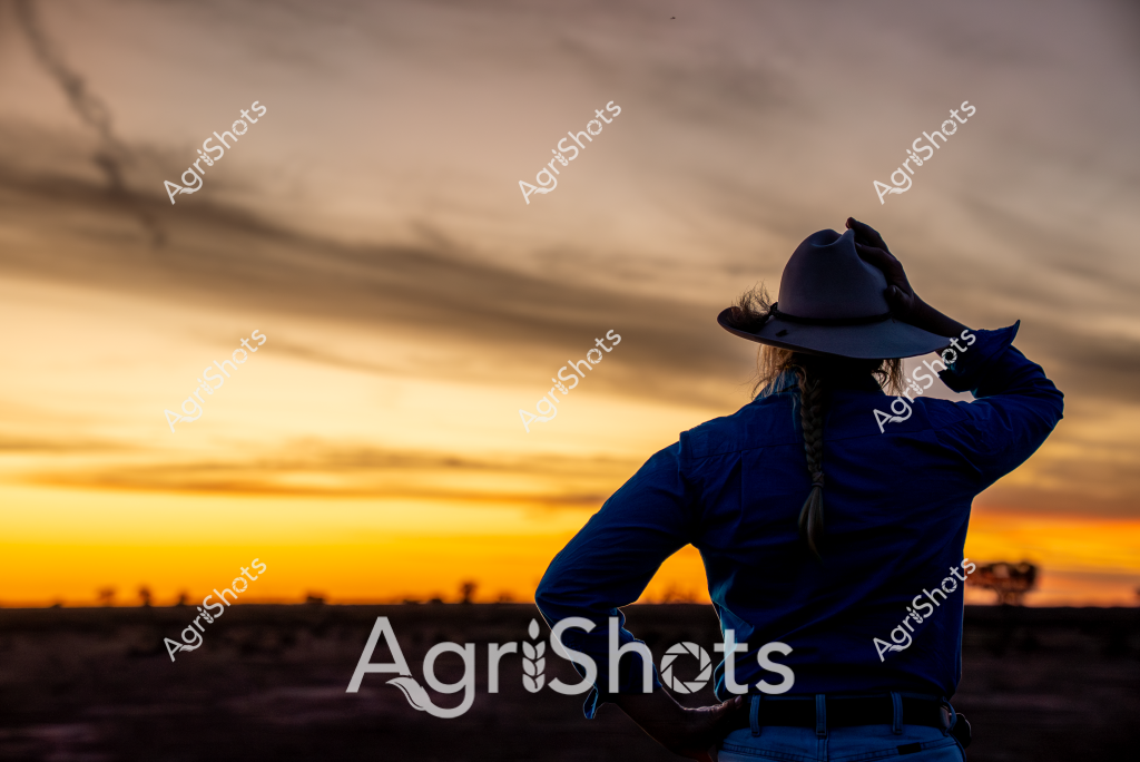 A woman in a wide-brimmed hat stands silhouetted against a stunning golden sunset, her back to the camera as she surveys a rural landscape. Wearing a deep blue jacket, she appears contemplative, holding her hat against the breeze while gazing across a distant horizon marked by subtle land formations and soft cloud streaks. The sky blazes with warm amber and yellow tones, creating a dramatic backdrop that speaks to the expansive beauty of the Australian agricultural landscape. Her posture suggests a moment of quiet reflection, capturing the essence of rural life and connection to the land. The silhouetted figure represents the resilience and solitude often experienced by those who work in agricultural settings, embodying a sense of independence and connection to the natural environment.