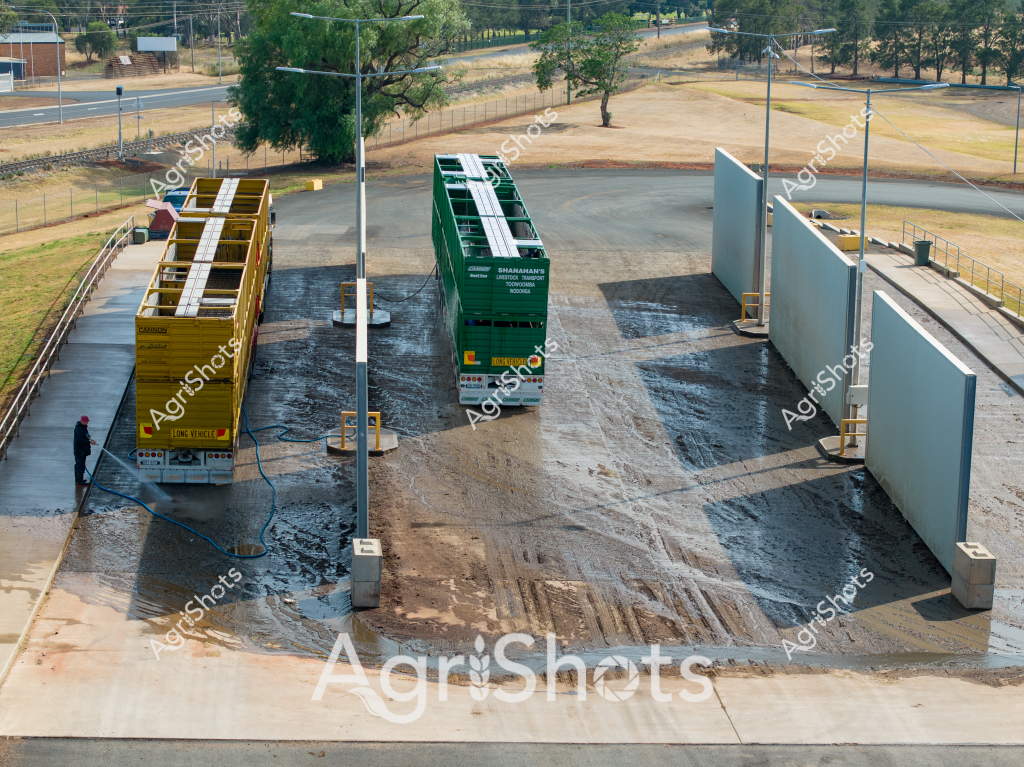 A detailed industrial scene captures a truck washing station with two large transport trailers positioned on a concrete wash pad. A person stands near one of the trucks, operating a high-pressure water hose to clean the vehicle's exterior. The yellow and green trailers are positioned precisely between concrete barriers and metal support structures, suggesting a systematic approach to vehicle maintenance and sanitation.

The environment appears to be a rural or industrial setting, with dry grass and scattered trees visible in the background. The concrete wash pad shows evidence of extensive water use, with wet and muddy areas surrounding the trailers. Overhead lighting poles and a fence line indicate this is a purpose-built facility for truck cleaning and maintenance.

The wash station demonstrates the meticulous care taken in maintaining commercial transport vehicles, with careful positioning and dedicated infrastructure for thorough cleaning. The scene captures the intersection of agricultural logistics and maintenance, highlighting the professional approach to vehicle upkeep in rural transportation operations.

The surrounding landscape is typical of a dry agricultural area, with sparse vegetation and open space, suggesting this is likely in an Australian rural or semi-rural location. The careful design of the wash station reflects the importance of vehicle maintenance in agricultural and transport industries.