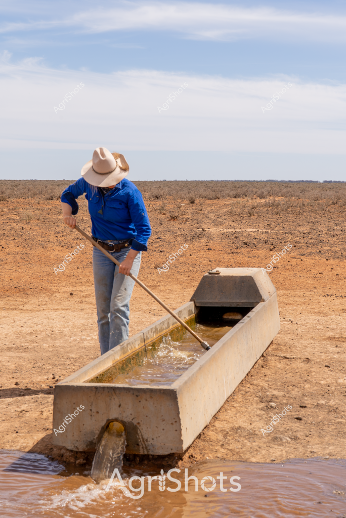 A woman in a blue long-sleeved shirt and wide-brimmed hat stands beside a concrete water trough in a parched, rust-colored landscape. She is carefully managing water flow, using a pole or implement to adjust the water running through the concrete channel. The surrounding terrain is a dry, barren expanse of reddish-brown earth with sparse vegetation, typical of an arid Australian agricultural region experiencing drought conditions. The concrete water infrastructure appears critical for livestock survival in this harsh environment, with water trickling from the trough into a pooling area below. The expansive, empty horizon and cloudless sky emphasize the stark, challenging landscape that farmers and graziers must navigate in rural Australia.